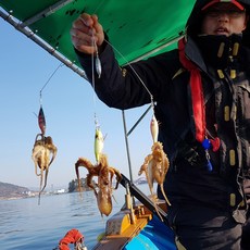 만경강하류2021년10월붕어낚시조황