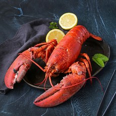 프리미엄 캐나다산 활랍스타 600g (냉장), ONE COLOR, ONE SIZE