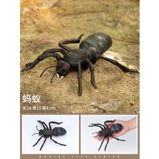 모형개미