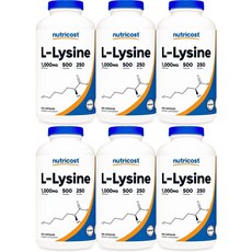 뉴트리코스트 엘 라이신 1000mg, 500정, 6개, 500정