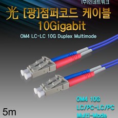 10g광케이블