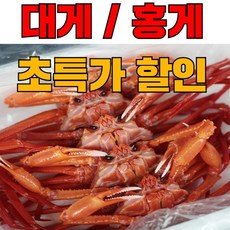 !! 연지홍게 !! 선주직송 당일조업 / 신선도 연지홍게 박달홍게 수율보장, 6. 국산 박달홍게 특대짜 3마리