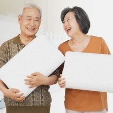 마미센스 고분자 냉장고 베개 1+1 목 디스크 경추 쿨링 쿨베개 아이디어공간