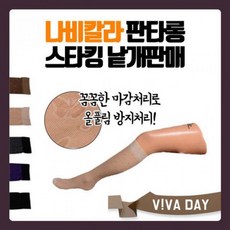 판타롱스타킹그레이