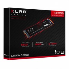 cs3040