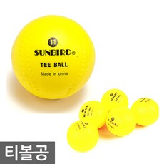 썬버드티볼공
