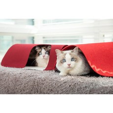 당고당 숨숨터널 고양이 터널 하우스 장난감, 대형(60*60cm), 레드4P