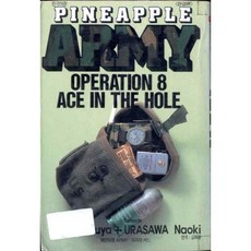 파인애플아미세트