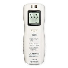 공안