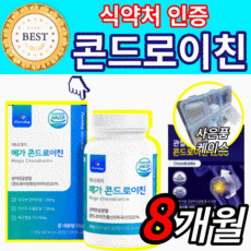 소유래콘드로이친