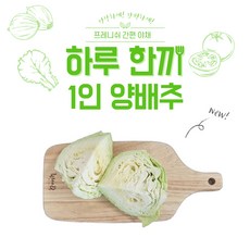 프레니쉬 달고 아삭한 국내산 양배추(1인양배추/6kg/9kg내외 1BOX), 3kg, 1개