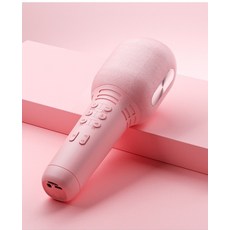 가정용노래방부스