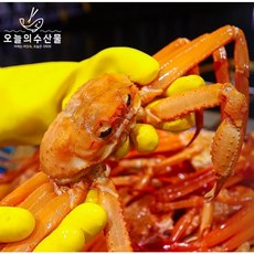 [오늘의수산물] 속초 80t급홍개배 홍게 3kg(8미내외)제철 박달홍게 활홍게 자숙홍게 수율보장 조업부터 발송까지 책임 발송, 1박스, 활어중홍게2kg(4~6미)