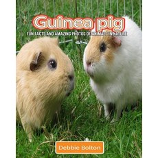 (영문도서) Guinea pig: Fun Facts and Amazing Photos of Animals in Nature Paperback, Independently Published, English, 9781076213402