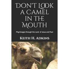 Don't Look a Camel in the Mouth: Pilgrimages through the Land of Jesus and Paul Paperback, Independently Published
