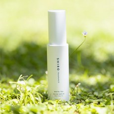 SHIRO 시로 티 오드 팔판 40mL 향수, 1개