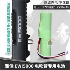 입문용색소폰 초보자용색소폰 AKAI EWI 5000 솔로가이드 전용 전지 아자