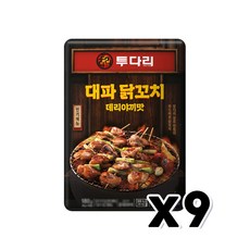 투다리 대파닭꼬치 데리야끼맛 즉석간편조리 180g x 9개