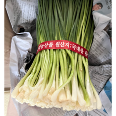 [싱싱한쪽파깐쪽파] 싱싱한 쪽파 깐쪽파 잔파 실파 1kg, 1개