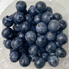 블루베리 생블루베리 125g 8팩, 1개, 상세페이지 참조