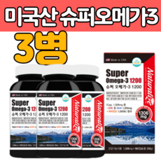 연어와술