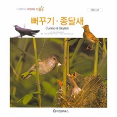뻐꾸기종달새