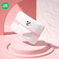 휴대용씨디케이스