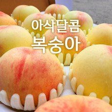 산지직송 영동복숭아 아삭달콤 딱딱이복숭아 부드러운 황도 백도 복숭아 가정용 선물용 왕특 특대 대 2.5kg 2kg 4kg