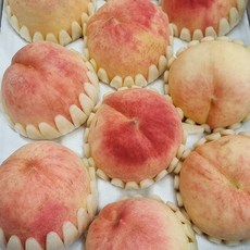 청도딱딱이복숭아