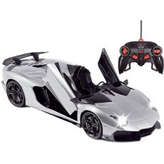 Haktoys RC 스포츠카 1:14 스케일 은색 라디오 원격 제어 초고속 현실감 넘치는 세부 장난감 차량 (가위, Silver_One Size, Silver_One Size, Silver