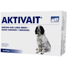 액티베이트중형견