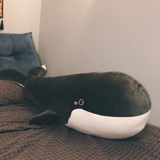 트로이아르케신부쿠션