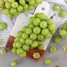 다농이네샤인머스캣