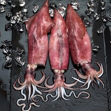 동해항블라디보스톡