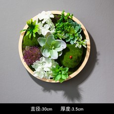 행인플렌트 행잉플랜트 조화 다육이잎꽂이 다육용월 벽 아트 인테리어, 색상 분류: 연근 직경 30cm