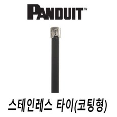 팬듀이트