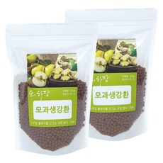 순하당 국산 모과생강환, 300g 2팩