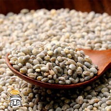 추천8가파도청보리축제