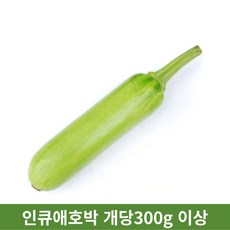 친환경애호박