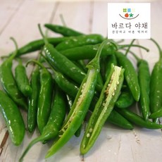 바르다야채 국내산 청양고추(특) 1kg 5kg 10kg (매운고추)(특품), 1개