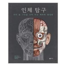 인체팝업북