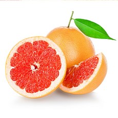 자몽에이슬