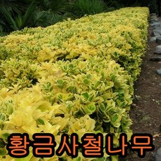 16d8aaf68465d62fc203081b5ae62566d7db63faf10751044a718f9afa29.jpg