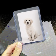 탑로더홀로그램시트지