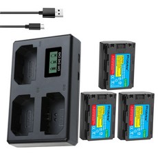 npfz100정품충전기