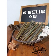 생 버드나무 스틱, 1개