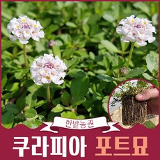 잔디깔기
