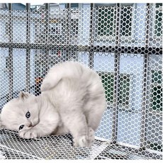 고양이 안전망 애완동물 낙하 방지 보호망 안전 메시 가드 발코니 및 창문 가금류 그물 플라스틱 정원 울타리 안전망 1 2cm 크기 0 4x10m 3x33ft, Mesh 1.2cm_0.4x10m/1.3x33ft, 1개