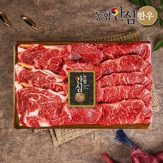[농협안심한우] 1등급이상 한우 구이 선물세트, 1세트, 구이2호(등심400g+안심300g+채끝300g), 1kg