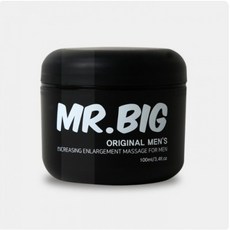 미스터히터빅버디